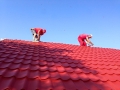 11295668_514178282064584_8330135459145169904_n