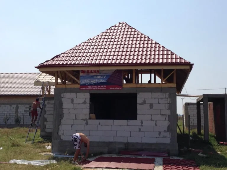 Lucrare Bialiv Construct – acoperiș 164