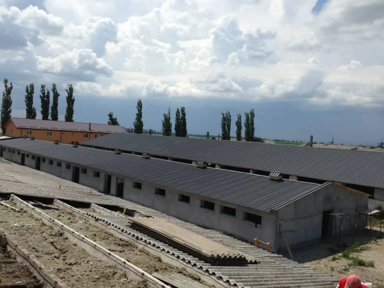 Lucrare Bialiv Construct – acoperiș 19