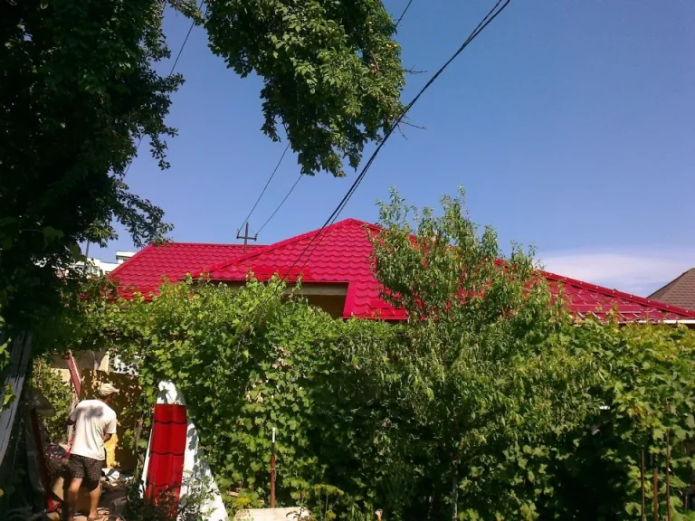 Lucrare Bialiv Construct – acoperiș 23