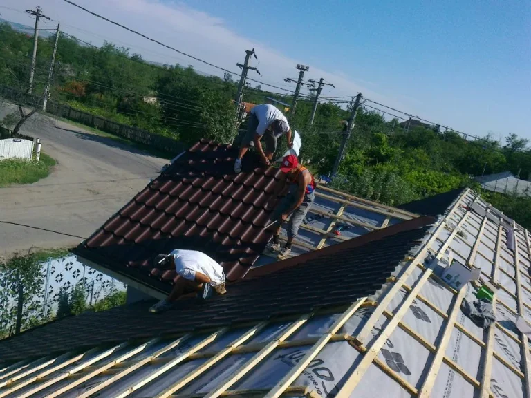 Lucrare Bialiv Construct – acoperiș 2