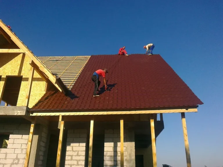 Lucrare Bialiv Construct – acoperiș 16