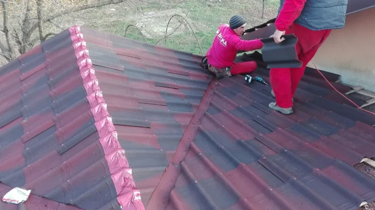 Lucrare Bialiv Construct – acoperiș 309