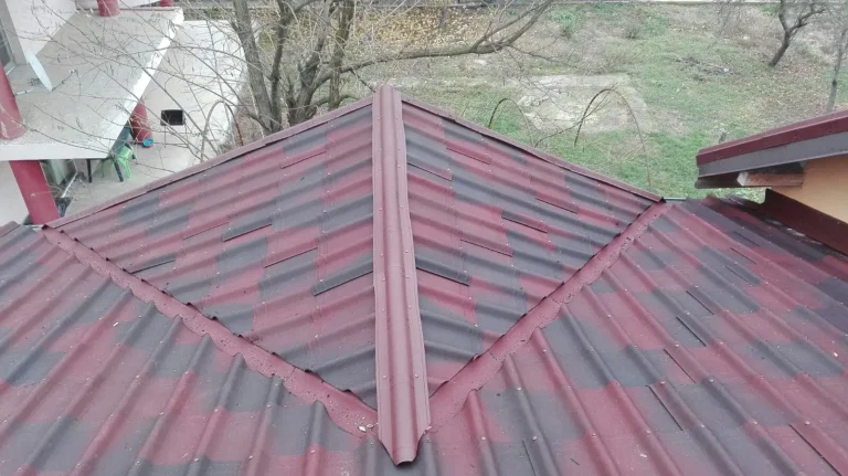 Lucrare Bialiv Construct – acoperiș 293