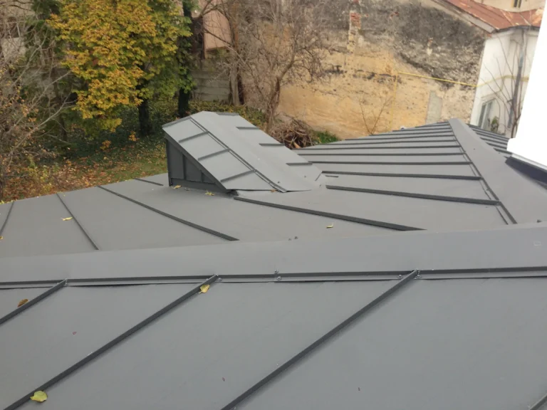Lucrare Bialiv Construct – acoperiș 206