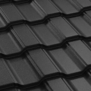 RAL 9005 Negru
