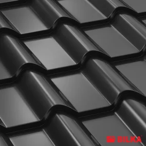 RAL 9005 Negru