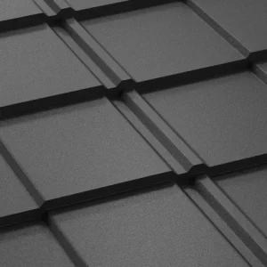 RAL 9005 Negru