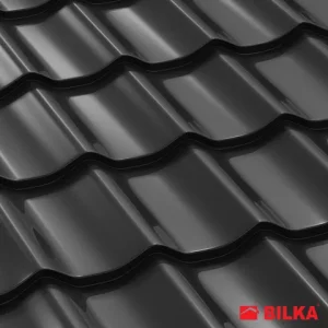 RAL 9005 Negru