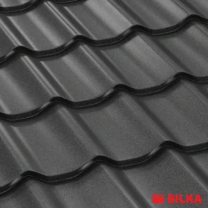 RAL 9005 Negru
