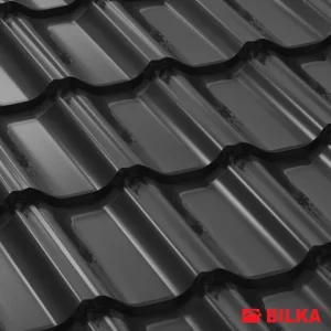 RAL 9005 Negru