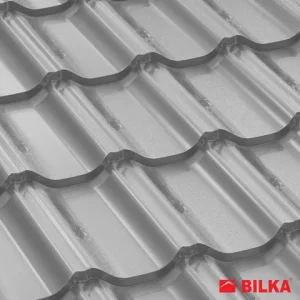 RAL 9006 Argintiu