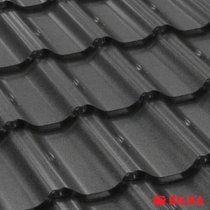 RAL 9005 Negru
