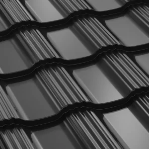 RAL 9005 Negru