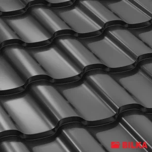 RAL 9005 Negru