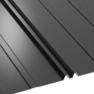 RAL 9005 Negru