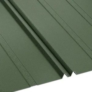 RAL 6020 Verde