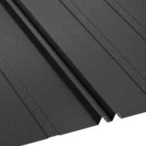RAL 9005 Negru