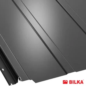 RAL 9005 Negru