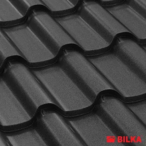 RAL 9005 Negru