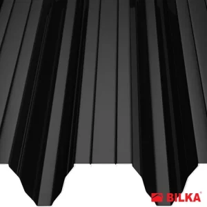 RAL 9005 Negru