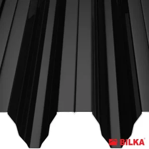 RAL 9005 Negru