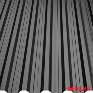 RAL 9005 Negru