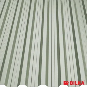 RAL 9006 Argintiu