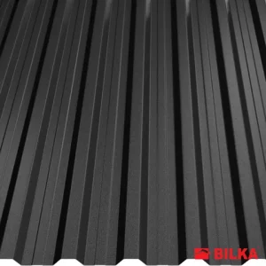 RAL 9005 Negru