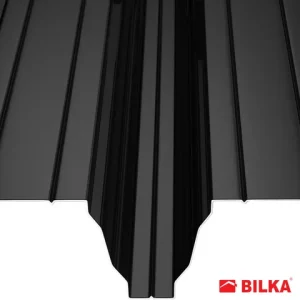 RAL 9005 Negru