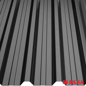RAL 9005 Negru
