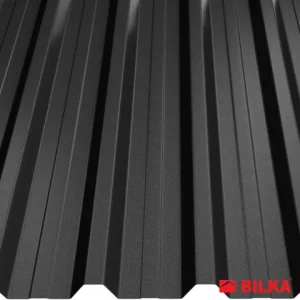 RAL 9005 Negru mat