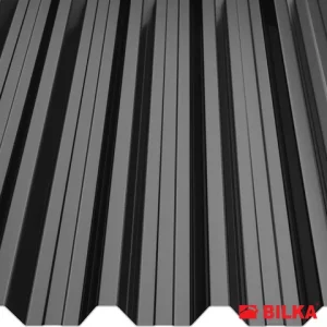 RAL 9005 Negru