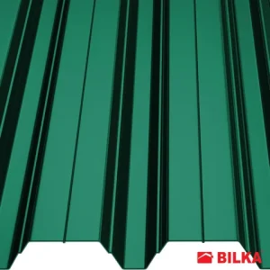 RAL 6005 Verde