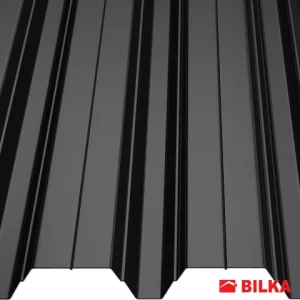 RAL 9005 Negru