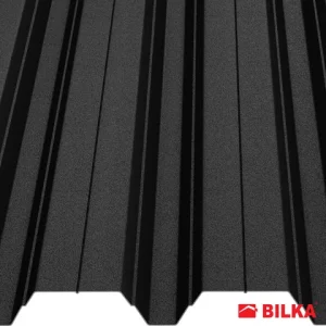 RAL 9005 Negru mat