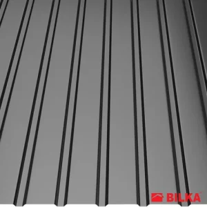 RAL 9005 Negru