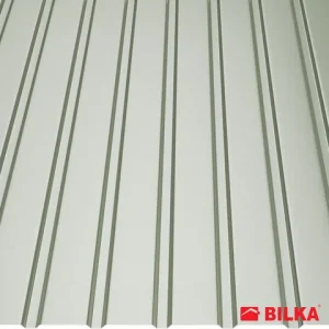 RAL 9006 Argintiu