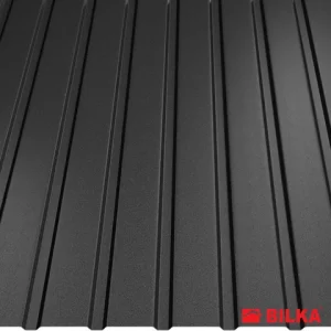 RAL 9005 Negru mat