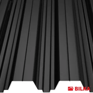 RAL 9005 Negru