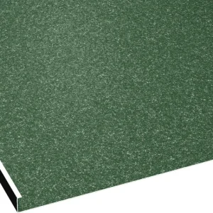 RAL 6005 Verde