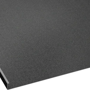 RAL 9005 Negru
