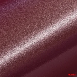 RAL 3005 Visiniu (781)